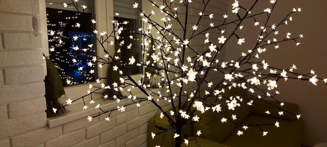 Apartment Ana, Vracar, 贝尔格莱德 外观 照片