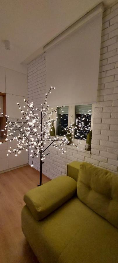 Apartment Ana, Vracar, 贝尔格莱德 外观 照片