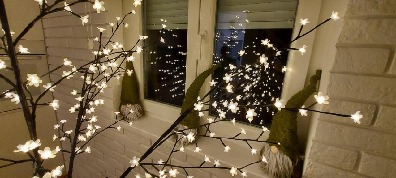 Apartment Ana, Vracar, 贝尔格莱德 外观 照片